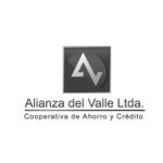 alianzadelvalle1