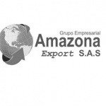 logo Grupo amazonas